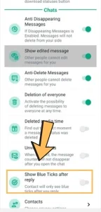 show-blue-ticks-after-reply-feature-screenshot